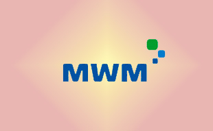 ✓ MWM 4501366 Поршнекомплект 